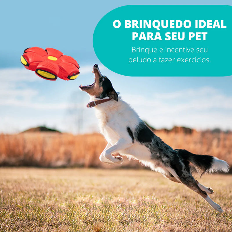 Brinquedo Bola Interativa para Pets